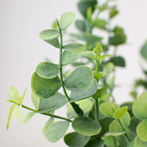 16.5" Eucalyptus Bush
