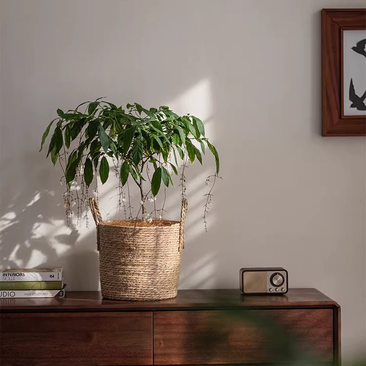 Cottage Seagrass Planter Basket