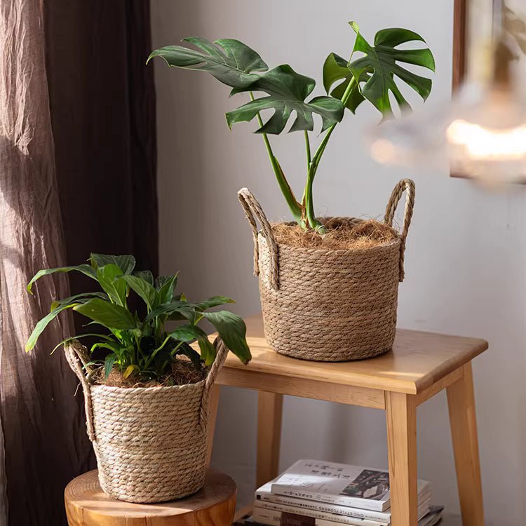 Cottage Seagrass Planter Basket