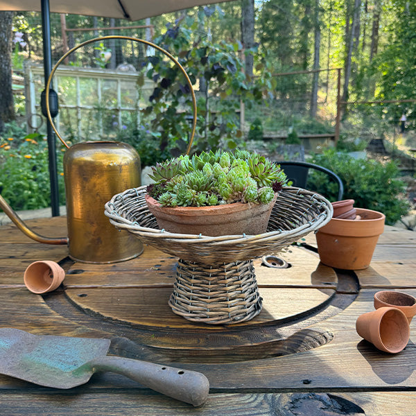 Willow Creek Display Riser