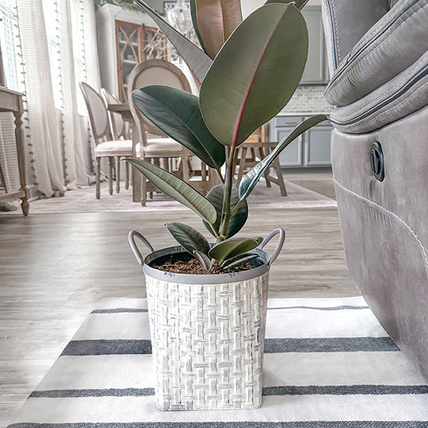 Whitewashed Estate Baskets| Set of 2